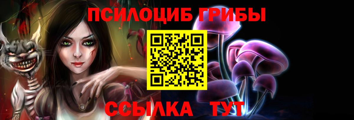 Псилоцибиновые грибы GOLDEN TEACHER  Вход с VPN  Псилоцибиновые грибы Magic Shrooms  Коряжма 